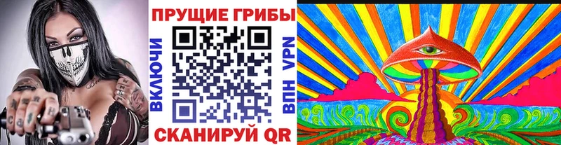 Галлюциногенные грибы Psilocybe  Купить где  Печоры 